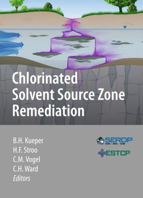 C. Herb Ward, Catherine M. Vogel, Hans F. Stroo, Bernard H. Kueper - Chlorinated Solvent Source Zone Remediation, E-bok