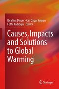 Causes, Impacts and Solutions to Global Warming