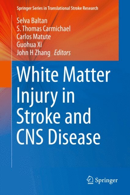 John H Zhang, Guohua Xi, Carlos Matute, S. Thomas Carmichael, Selva Baltan - White Matter Injury in Stroke and CNS Disease, E-bok
