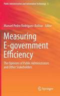 Measuring E-government Efficiency