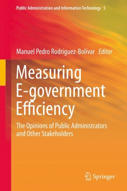 Manuel Pedro Rodriguez-Bolivar - Measuring E-government Efficiency, E-bok