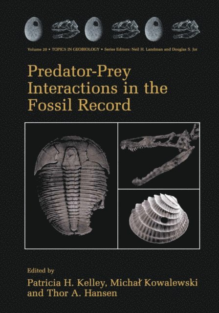 Thor A. Hansen, Michal Kowalewski, Patricia H. Kelley - Predator-Prey Interactions in the Fossil Record, E-bok