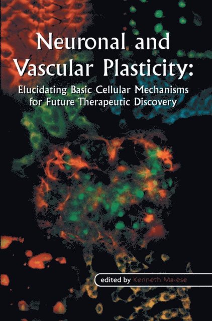 Kenneth Maiese - Neuronal and Vascular Plasticity, E-bok