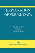 Exploration of Visual Data