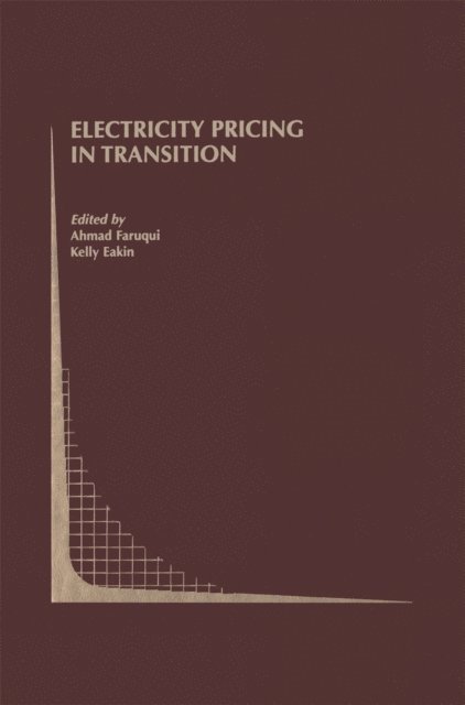 Kelly Eakin, Ahmad Faruqui - Electricity Pricing in Transition, E-bok