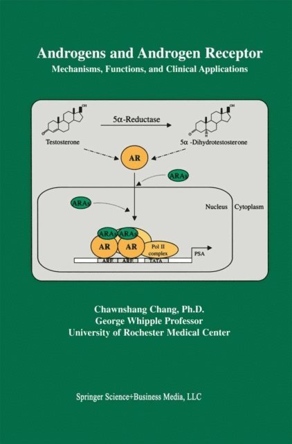 Chawnshang Chang - Androgens and Androgen Receptor, E-bok