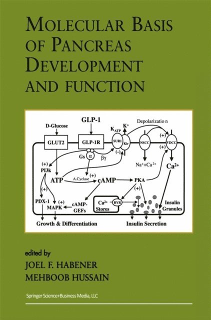 Mehboob Hussain, Joel F. Habener - Molecular Basis of Pancreas Development and Function, E-bok