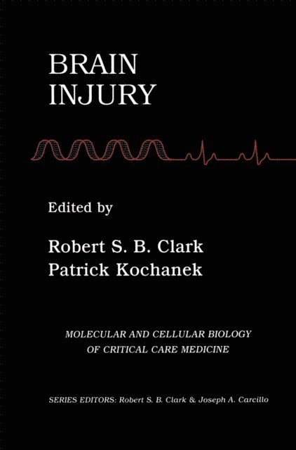 Patrick Kochanek, Robert S.B. Clark - Brain Injury, E-bok