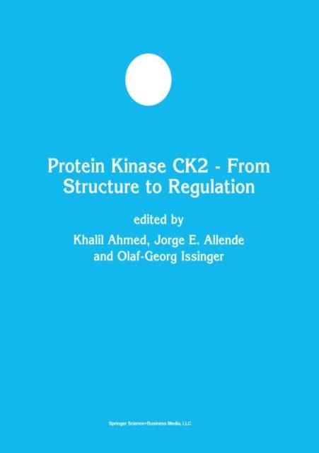Olaf-Georg Issinger, J.E. Allende, Khalil Ahmed - Protein Kinase CK2 - From Structure to Regulation, E-bok