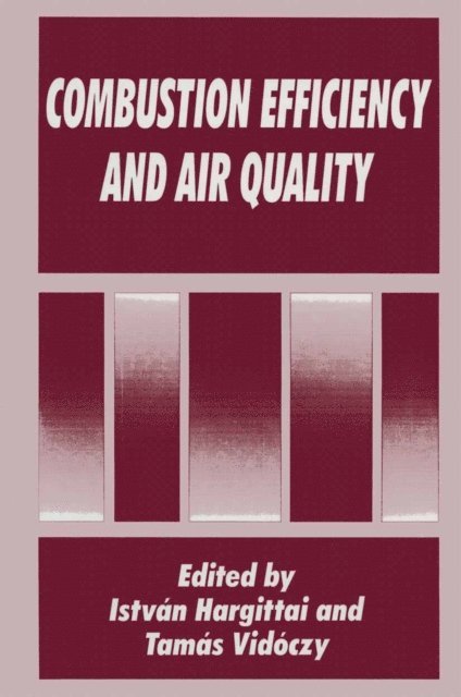 T. Vidoczy, Istvan Hargittai - Combustion Efficiency and Air Quality, E-bok