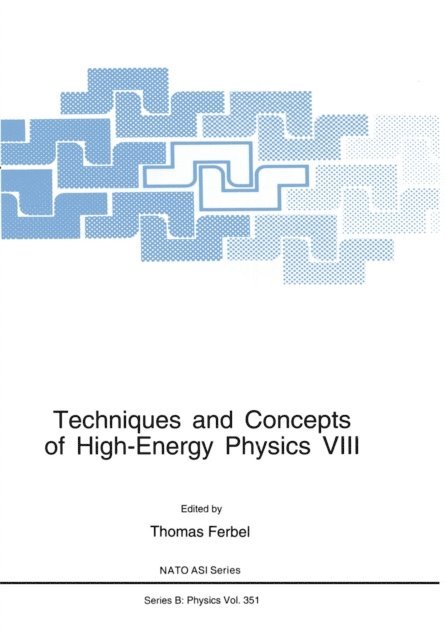 Thomas Ferbel - Techniques and Concepts of High-Energy Physics VIII, E-bok