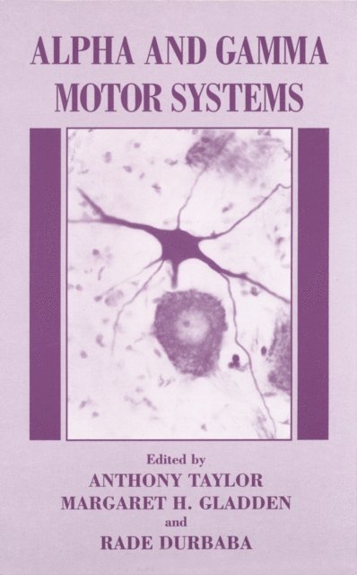 Anthony Taylor, M.H. Gladden, R. Durbaba - Alpha and Gamma Motor Systems, E-bok
