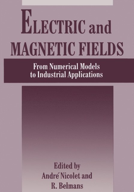 A. Nicolet, R. Belmans - Electric and Magnetic Fields, E-bok