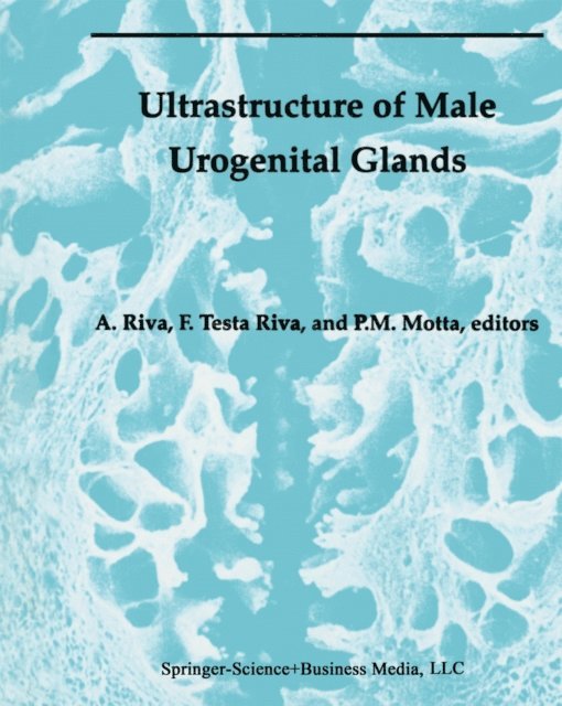 P. Motta, Francesca Testa Riva, Allessandro Riva - Ultrastructure of the Male Urogenital Glands, E-bok