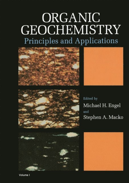 Stephen A. Macko, Michael H. Engel - Organic Geochemistry, E-bok