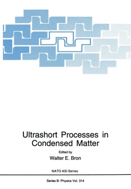 Walter E. Bron - Ultrashort Processes in Condensed Matter, E-bok
