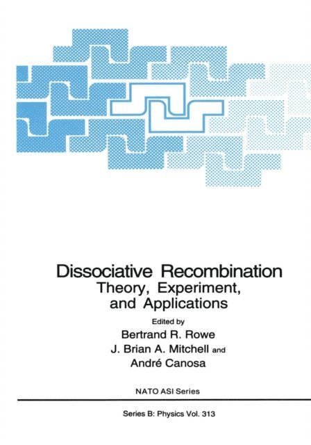 Andre Canosa, J. Brian A. Mitchell, Bertrand R. Rowe - Dissociative Recombination, E-bok