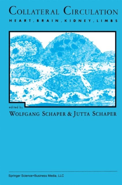 Jutta Schaper, Wolfgang Schaper - Collateral Circulation, E-bok