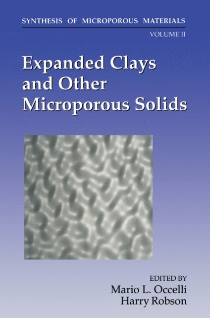 H. Robson, M.L. Occelli - Expanded Clays and Other Microporous Solids, E-bok