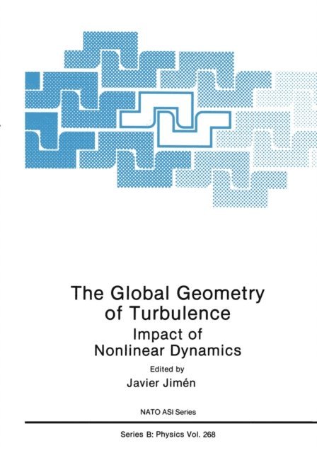 Javier Jimenez - Global Geometry of Turbulence, E-bok