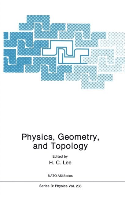 H.C. Lee - Physics, Geometry and Topology, E-bok