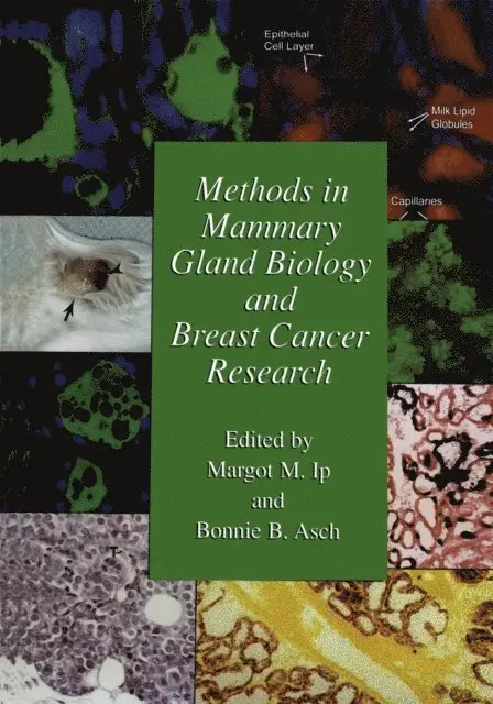 Bonnie B. Asch, Margot M. Ip - Methods in Mammary Gland Biology and Breast Cancer Research, E-bok. Tillgänglighet: Lägg i varukorg