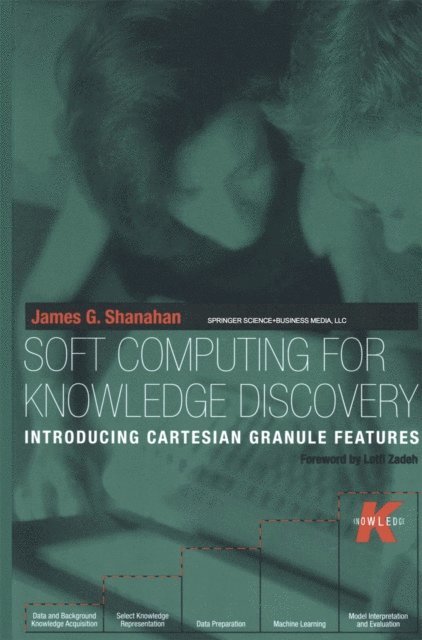 James G. Shanahan - Soft Computing for Knowledge Discovery, E-bok
