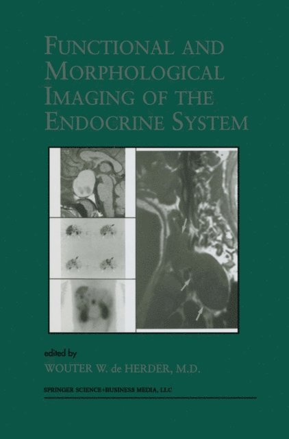 W.W. de Herder - Functional and Morphological Imaging of the Endocrine System, E-bok