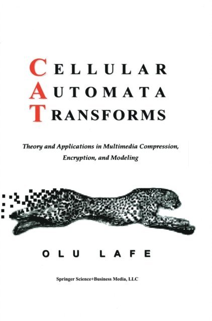 Olurinde Lafe - Cellular Automata Transforms, E-bok