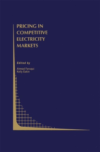 Kelly Eakin, Ahmad Faruqui - Pricing in Competitive Electricity Markets, E-bok
