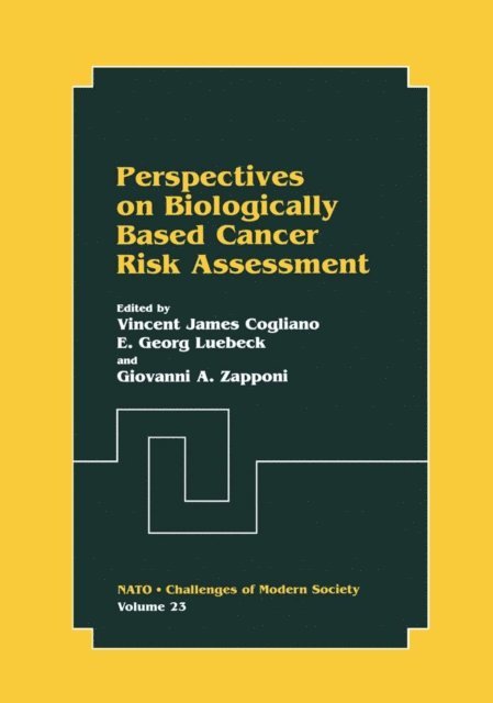 Giovanni A. Zapponi, E. Georg Luebeck, Vincent James Cogliano - Perspectives on Biologically Based Cancer Risk Assessment, E-bok