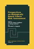 Perspectives on Biologically Based Cancer Risk Assessment