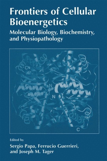 Joseph M. Tager, Ferruccio Guerrieri, S. Papa - Frontiers of Cellular Bioenergetics, E-bok