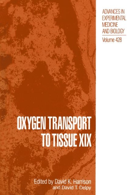 David T. Delpy - Oxygen Transport to Tissue XIX, E-bok
