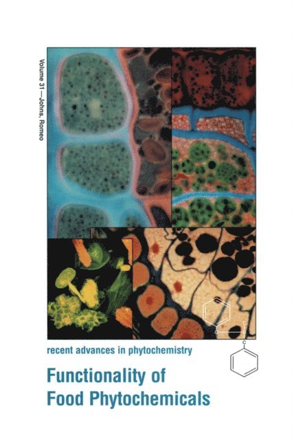 John T. Romeo, Timothy Johns - Functionality of Food Phytochemicals, E-bok