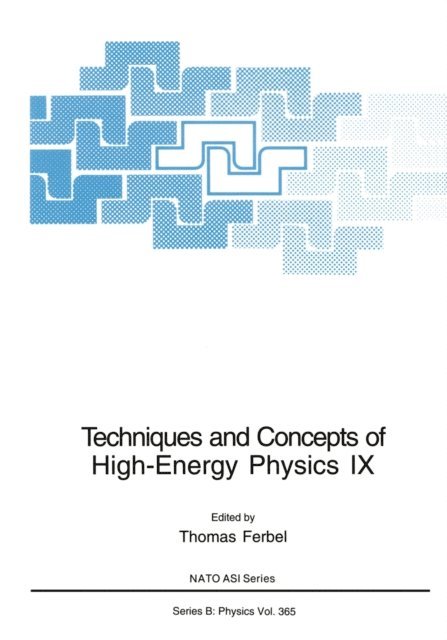 Thomas Ferbel - Techniques and Concepts of High-Energy Physics IX, E-bok