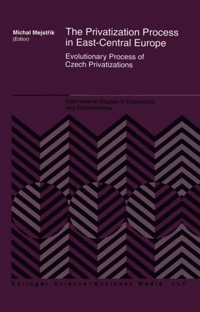 Michal Mejstrik - Privatization Process in East-Central Europe, E-bok