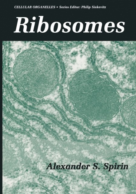 Alexander Spirin - Ribosomes, E-bok