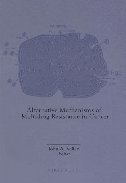 John A. Kellen - Alternative Mechanisms of Multidrug Resistance in Cancer, E-bok