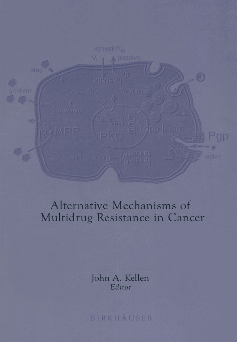 John A. Kellen - Alternative Mechanisms of Multidrug Resistance in Cancer, Häftad