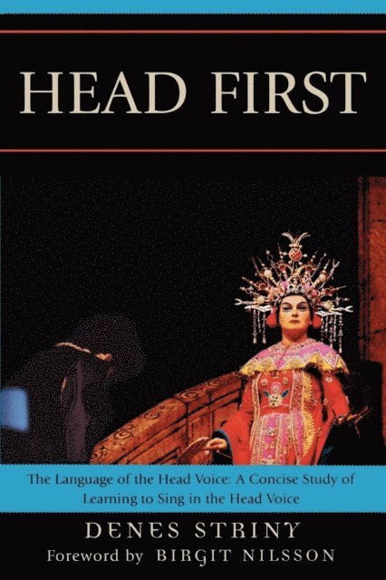 Denes Striny - Head First, E-bok