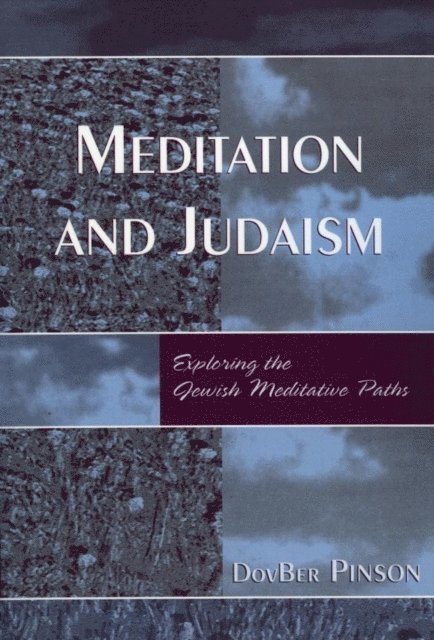 DovBer Pinson - Meditation and Judaism, E-bok