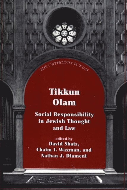 David Shatz, Chaim I. Waxman, Nathan J. Diament - Tikkun Olam, E-bok