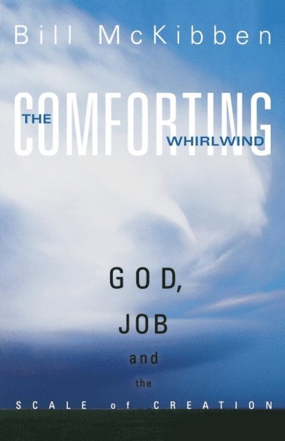 Bill McKibben - Comforting Whirlwind, E-bok