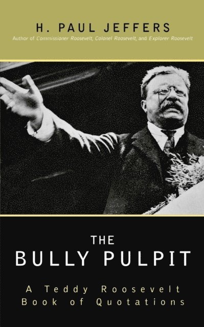 H. Paul Jeffers - Bully Pulpit, E-bok