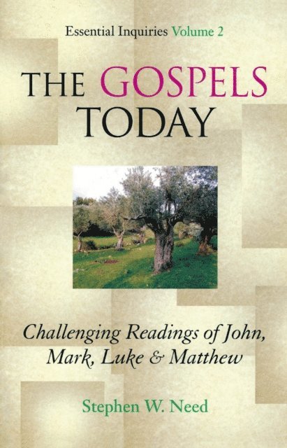 Stephen W. Need - Gospels Today, E-bok