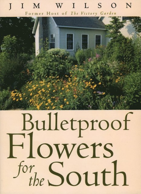 Jim Wilson - Bulletproof Flowers for the South, E-bok