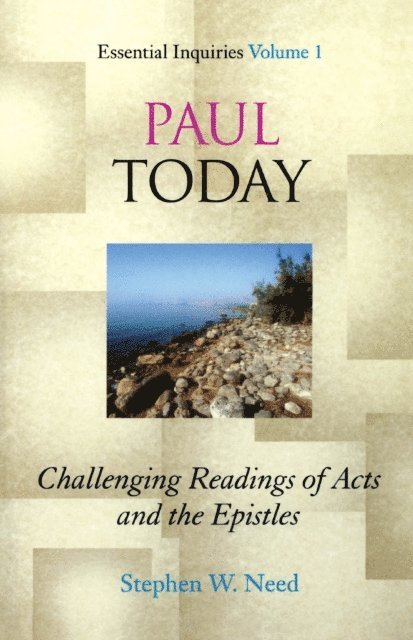 Stephen W. Need - Paul Today, E-bok