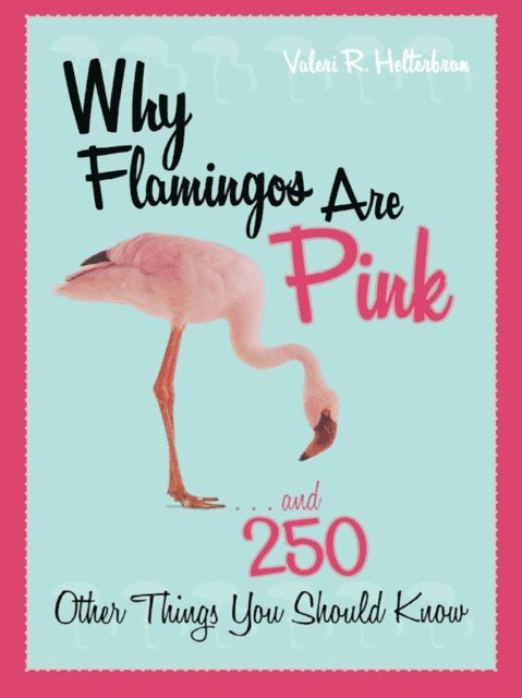 Why Flamingos Are