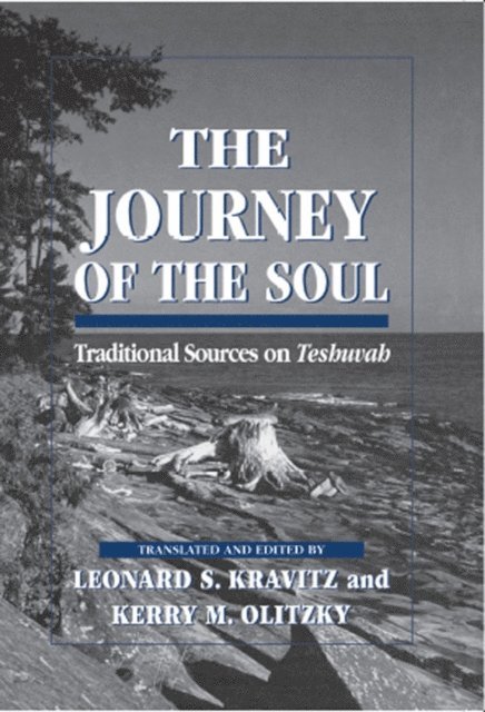 Leonard S. Kravitz, Kerry M. Olitzky - Journey of the Soul, E-bok